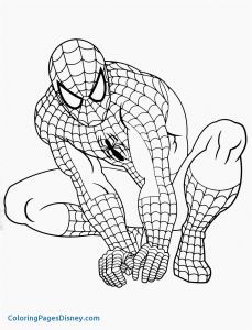 Jeux De Coloriage Spiderman Gratuit En Ligne Awesome Coloriage Spiderman Coloring Pages Disney