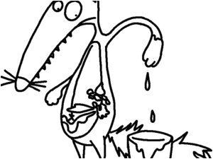 Le Loup Qui Voulait Changer De Couleur Coloriage 174 Best Le Loup Qui Ts Jeux Et Derives Images On Pinterest