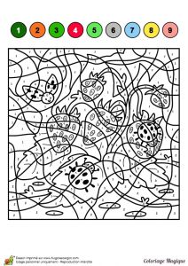 Les Coccinelles Coloriage Magique Coloriage Cm1 Tlcharger Les Documents Tlcharger Les Documents