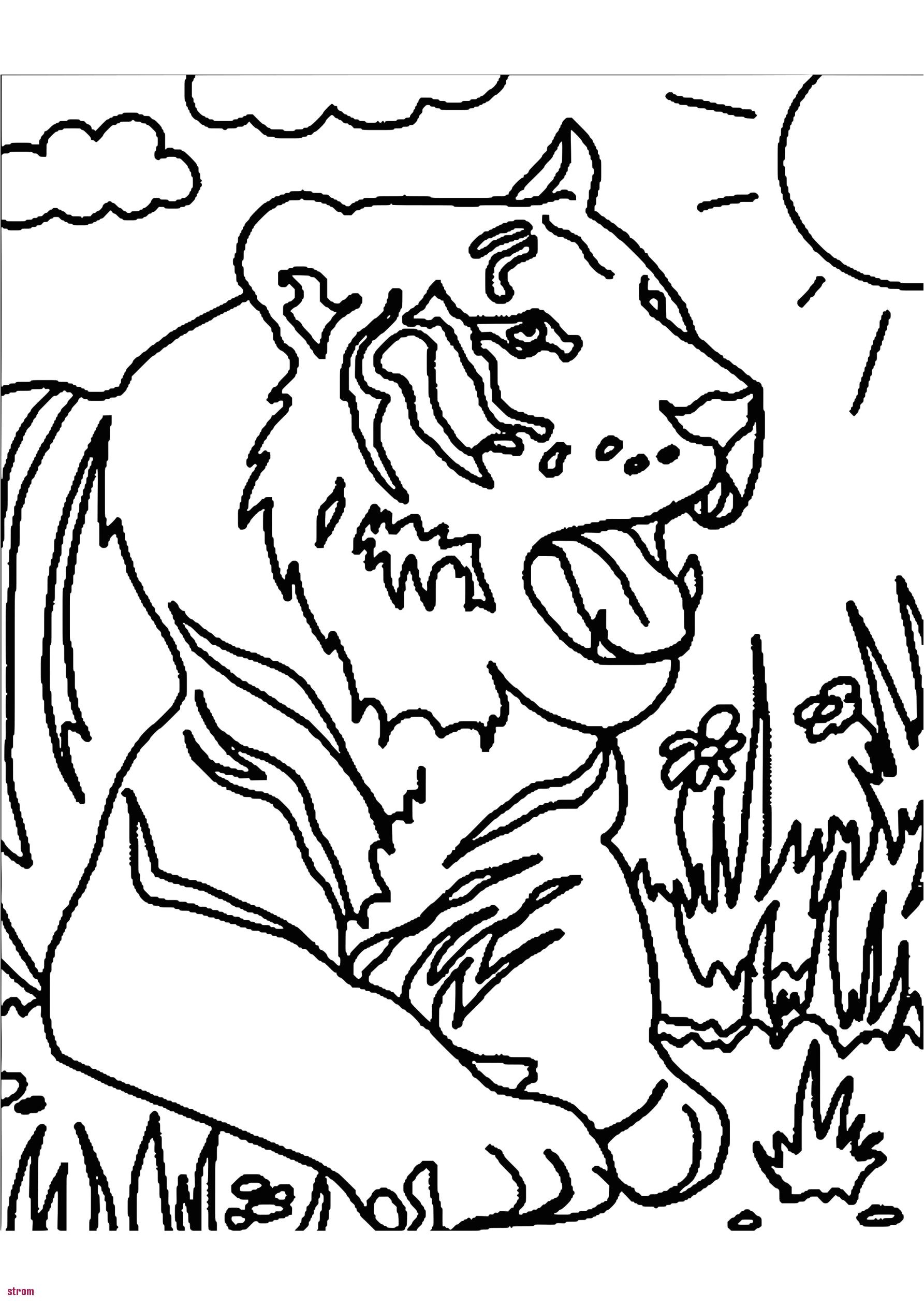 Lulu L Escargot Coloriage 38 Superbe Mod¨le Coloriage Inazuma Eleven Hugo L Escargot