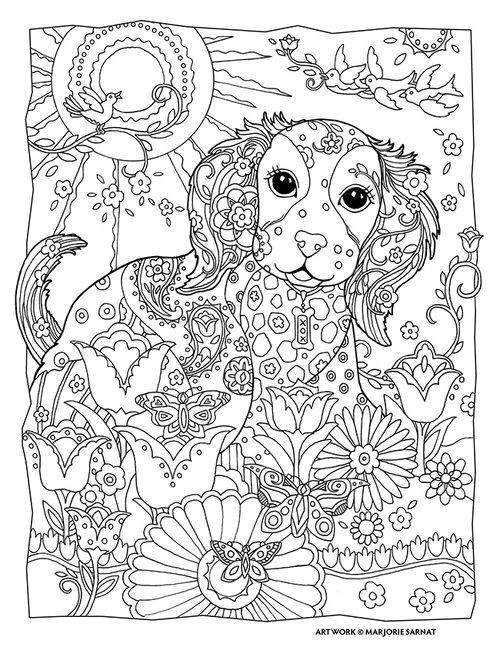 Materiel Coloriage Adulte 69 Best Chien Images On Pinterest