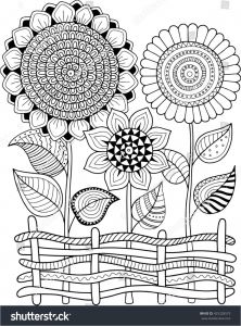 Materiel Coloriage Adulte Coloring Book for Adult for Meditation and Relax Vector Sunflowers