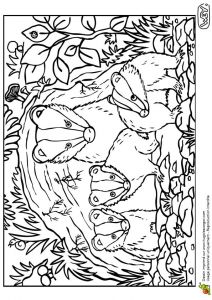 Mes Coloriages Preferes 77 Best Coloriages De Bébés Animaux Images On Pinterest