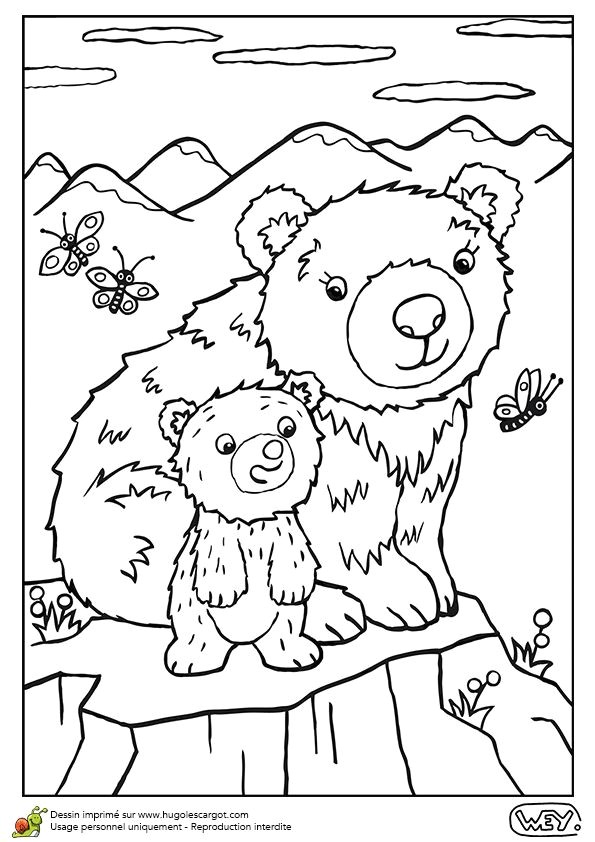 Modele Coloriage Enfant 77 Best Coloriages De Bébés Animaux Images On Pinterest