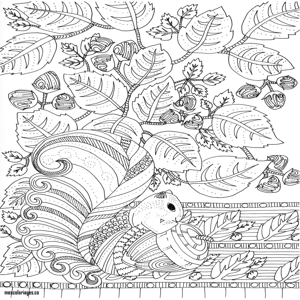 Modele De Coloriage Pour Adulte Coloriage Adulte  Imprimer Avec Mod¨le