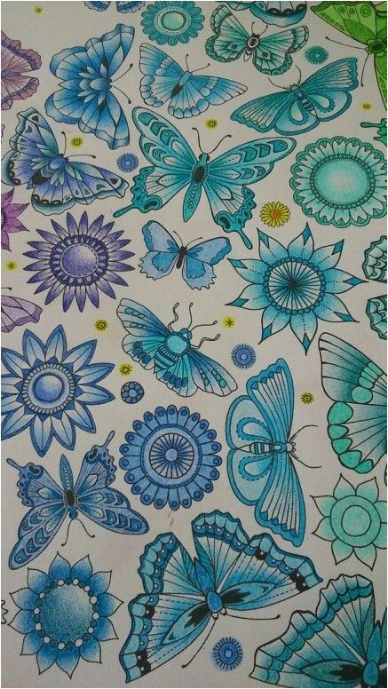 Mon Jardin Secret Coloriage 43 Best Mon Jardin Secret Images On Pinterest