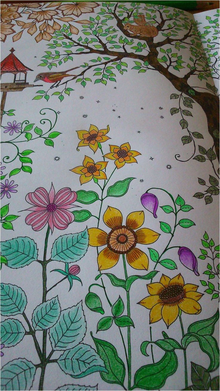 Mon Jardin Secret Coloriage 43 Best Mon Jardin Secret Images On Pinterest