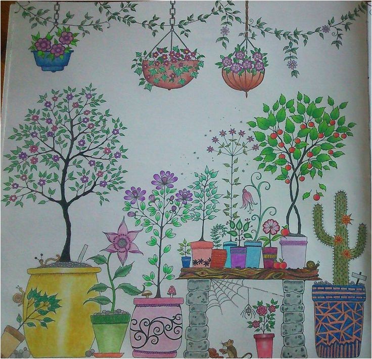 Mon Jardin Secret Coloriage 43 Best Mon Jardin Secret Images On Pinterest