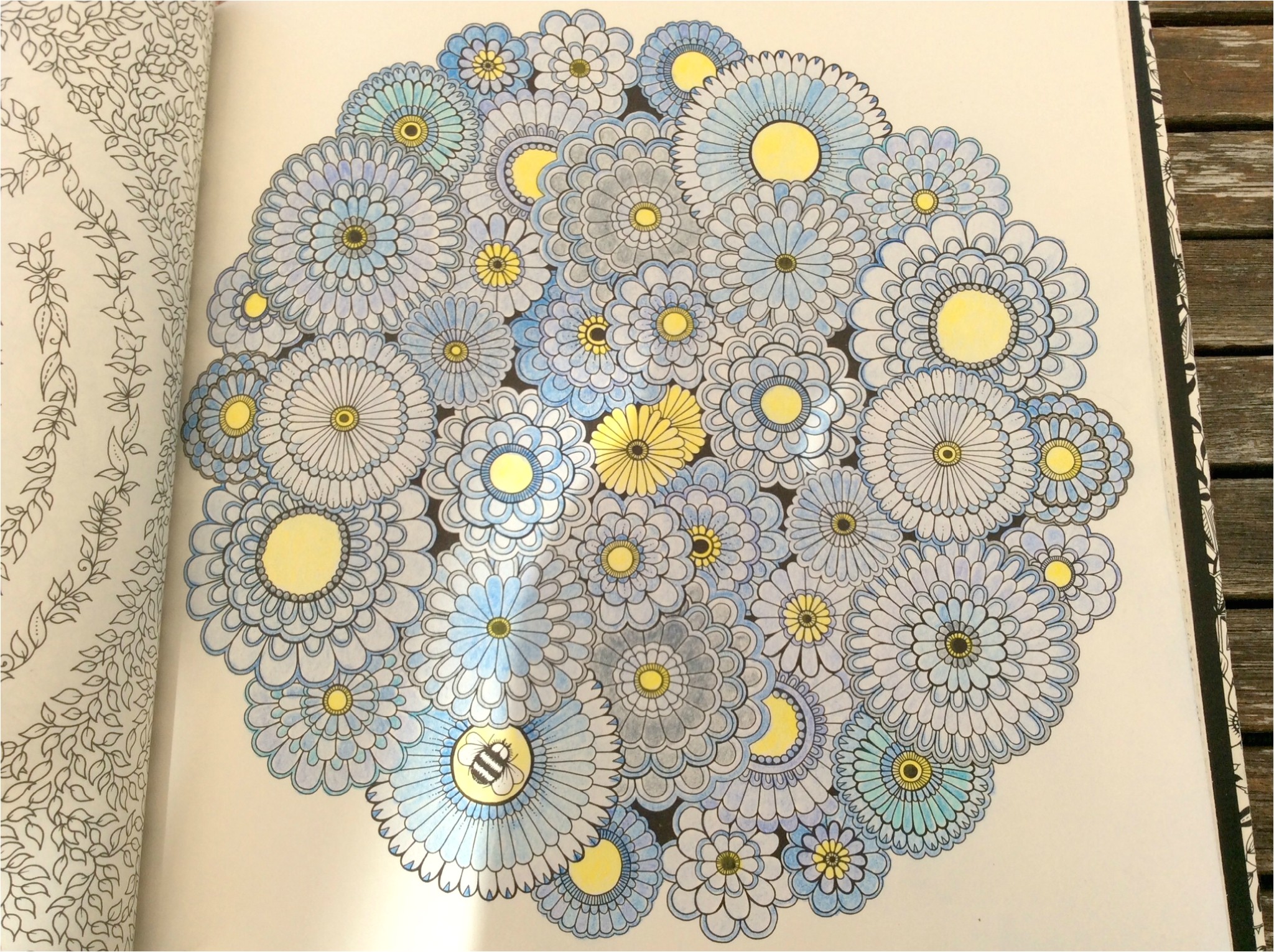 Mon Jardin Secret Coloriage Coloriage Pour Adulte Jardin Secret