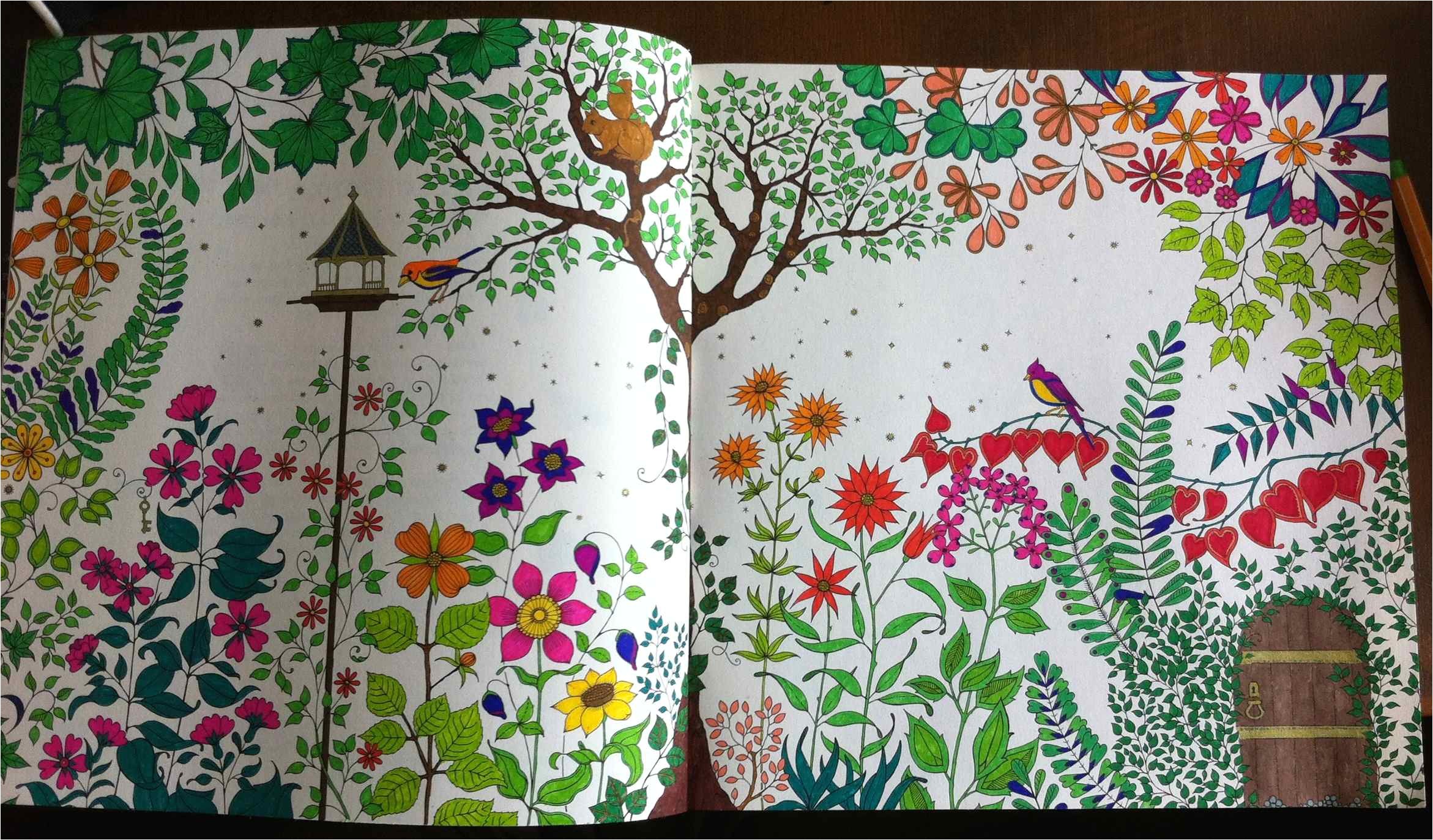 Mon Jardin Secret Coloriage Coloriage Pour Adulte Jardin Secret