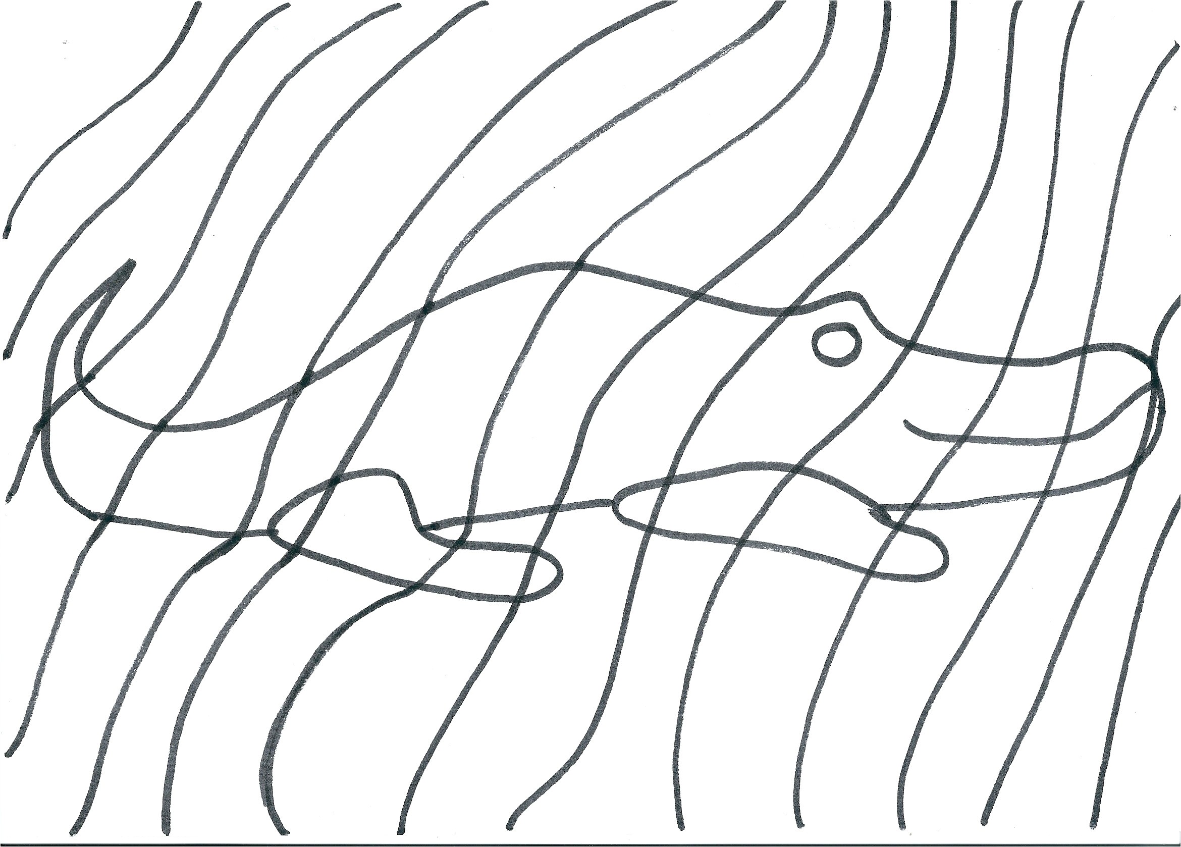 Vasarely Coloriage 20 Dessins De Coloriage Zebre Vasarely   Imprimer