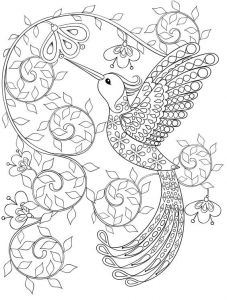 Coloriage Adulte Flamant Rose Coloriage Zen