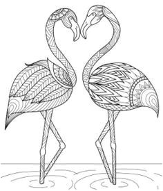 Coloriage Adulte Flamant Rose Craft Haven Flamingo Free Coloring Page