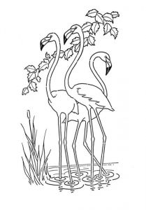 Coloriage Adulte Flamant Rose épinglé Par Danuta Sur Wzory Do Haftu Malowania I Inne