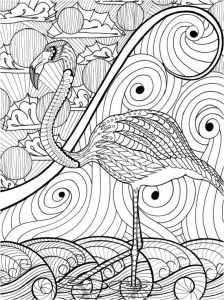 Coloriage Adulte Flamant Rose Les 237 Meilleures Images Du Tableau Coloring Swan Flamingo Sur