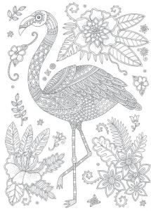 Coloriage Adulte Flamant Rose Les 237 Meilleures Images Du Tableau Coloring Swan Flamingo Sur