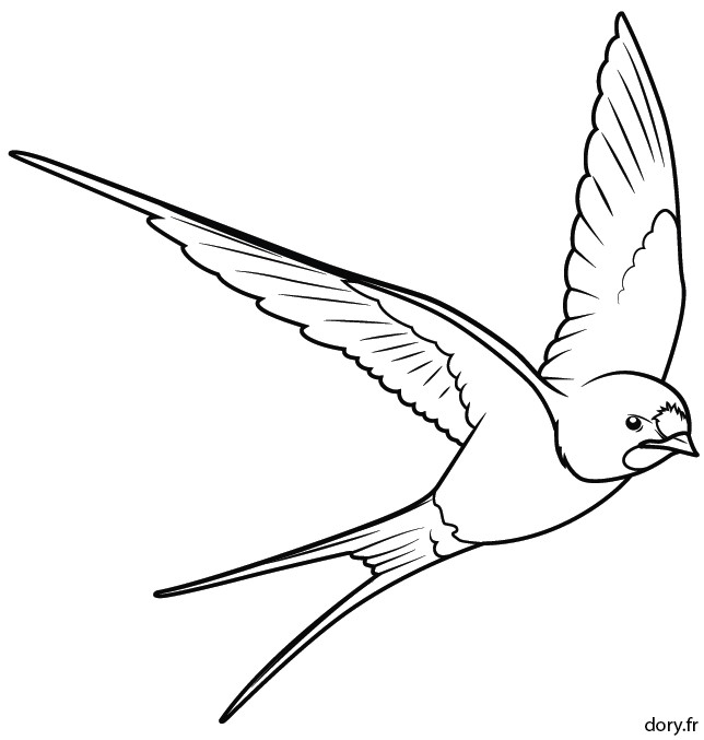 Coloriage Art Thérapie Anti Stress A Imprimer Dessin   Colorier Une Hirondelle ÐÑÐ¸ÑÑ Ð²ÑÑÐ¸Ð²ÐºÐ°