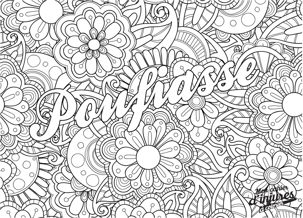 Coloriage Avec Numero Pour Adulte Envie De Vous Défouler Ce Livre De Coloriages Réservé Aux Adultes