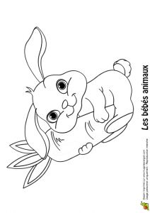 Coloriage Baby Boss Hugo L Escargot Coloriage Bébé Lapin