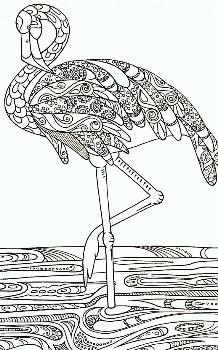 Coloriage Bébé Flamant Rose 130 Best Coloring Sheets Images On Pinterest