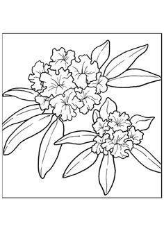 Coloriage Bébé Flamant Rose Nénuphar Idée Tatouage Pinterest