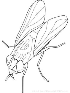 Coloriage Buzz L éclair A Imprimer Gratuit Ant Silhouette Vector Graphics Pinterest