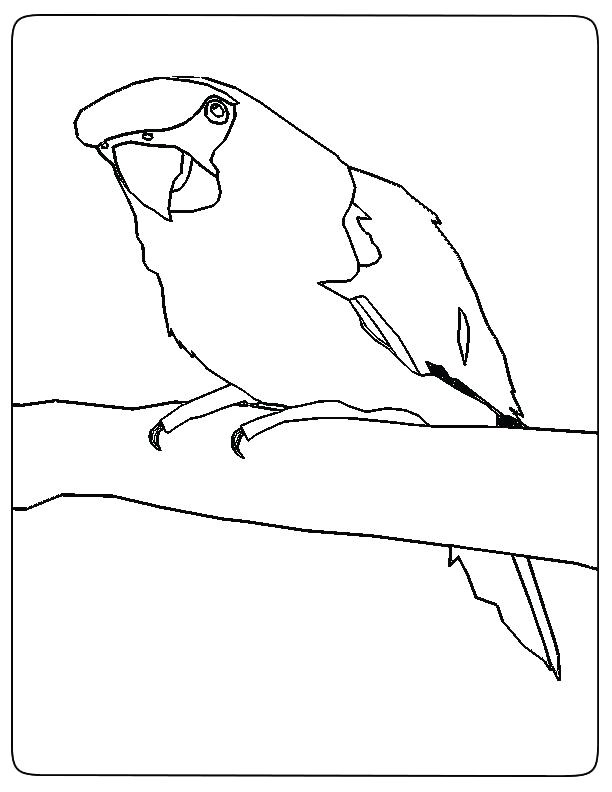 Coloriage Cacatoes Coloriage Cacatoes – Fashionzenfo