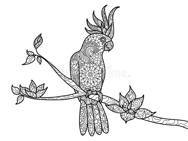 Coloriage Cacatoes Livre De Coloriage De Perroquet De Cacato¨s Pour Le Vecteur D