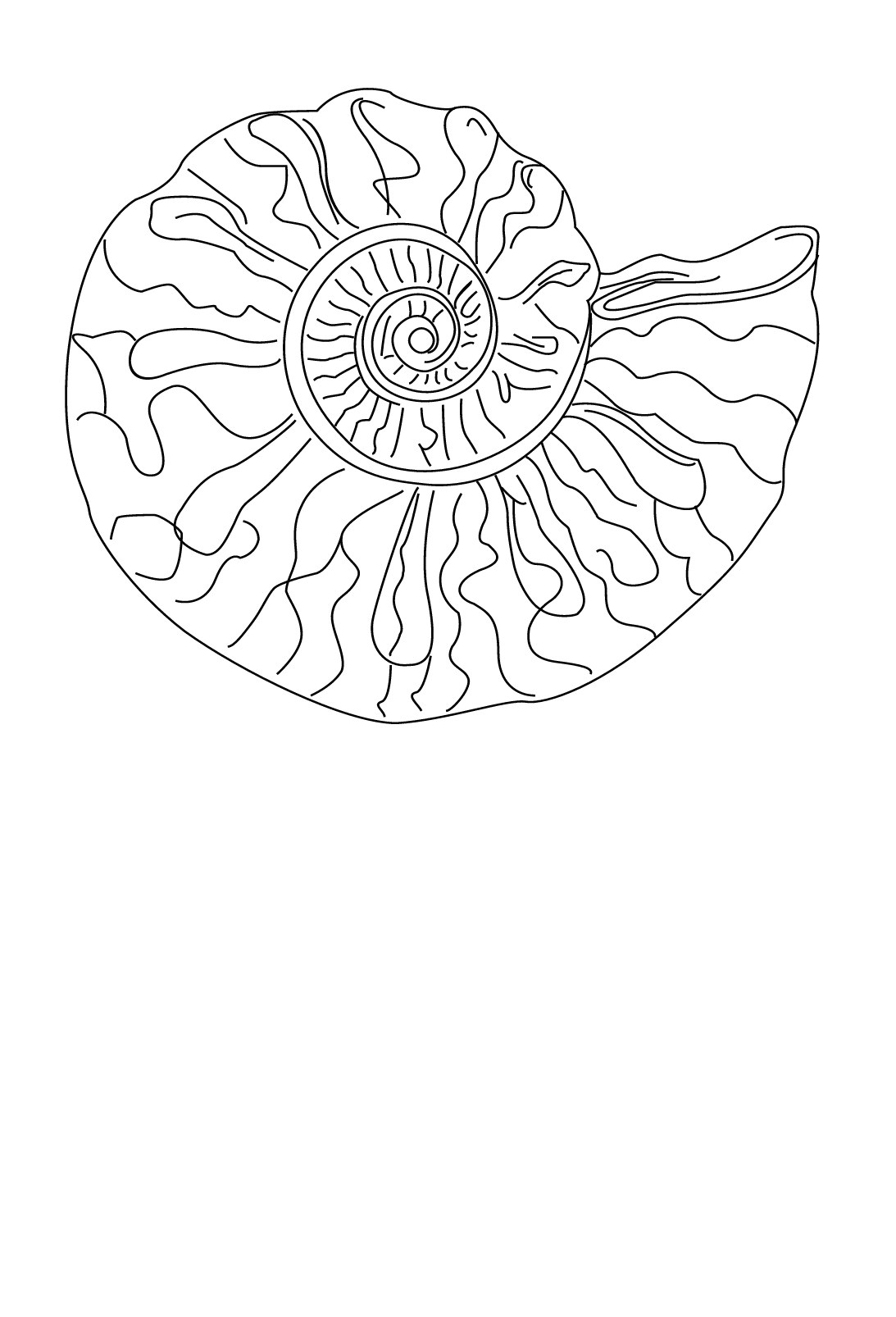 Coloriage De Ariel La Petite Sirène A Imprimer Coloriage Coquillage De Mer