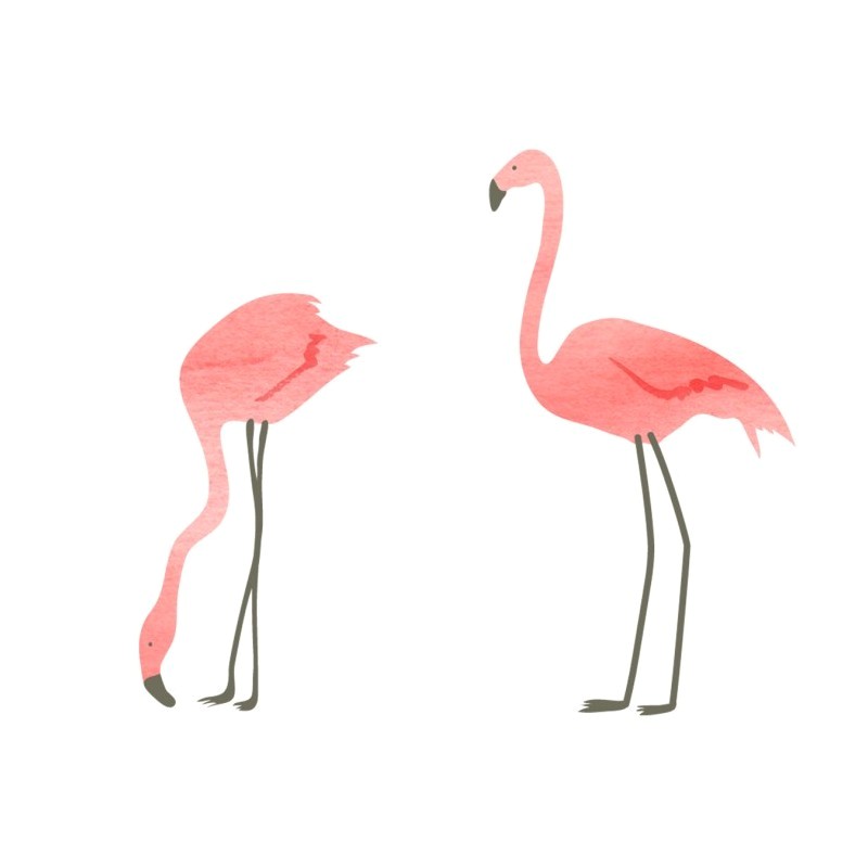 Coloriage De Flamant Rose Dessin origami Flamant Rose Flamant De Papier Rose D origami Photo