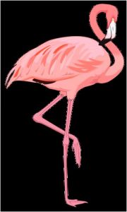 Coloriage De Flamant Rose Résultat De Recherche D Images Pour "flamant Rose Dessin Animé