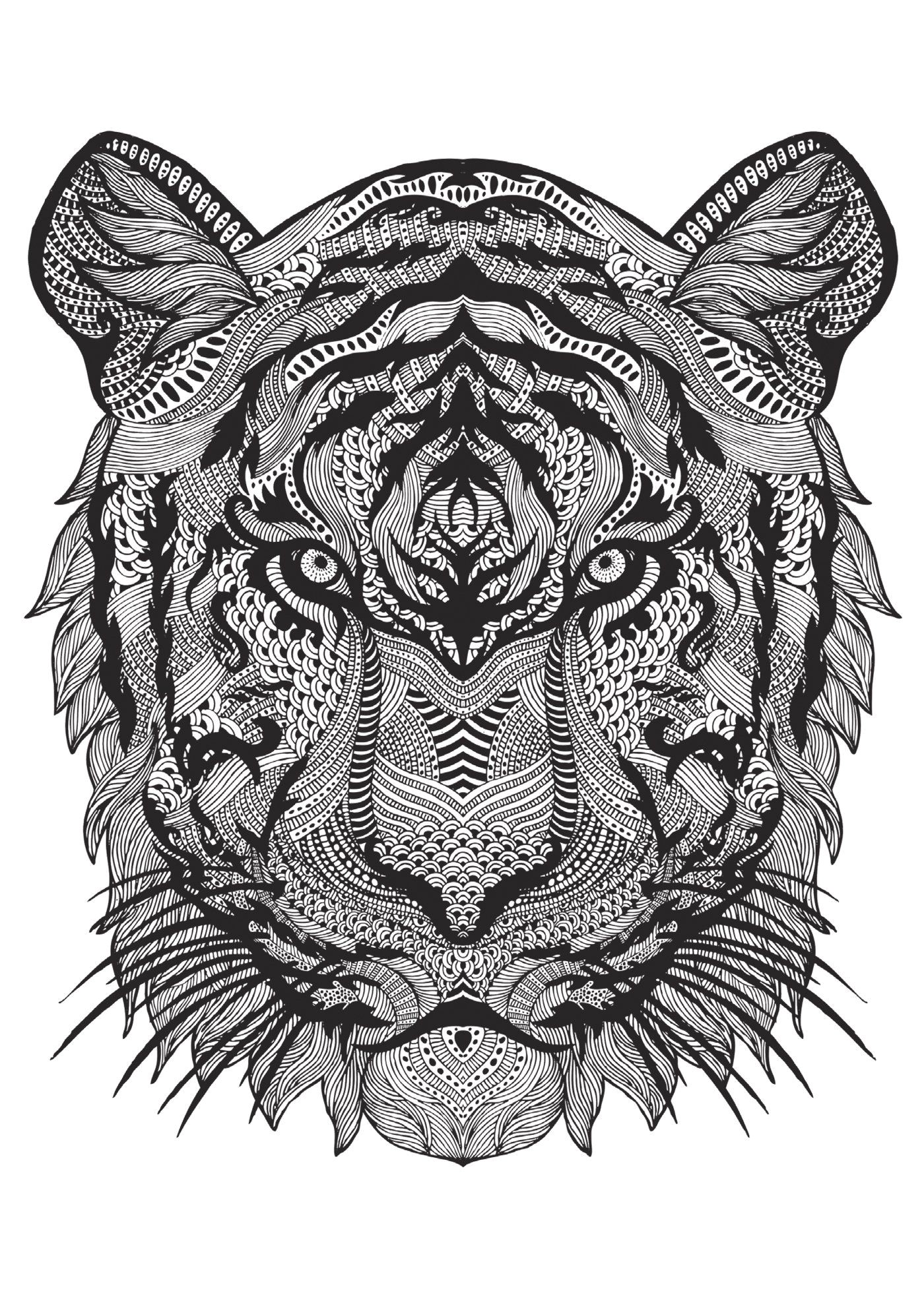 Coloriage Destressant Animaux Bestiaire Extraordinaire Loisirs Sports Passions Amazon Coloriage Destressant Animaux Bestiaire Extraordinaire Loisirs Sports Passions Amazon