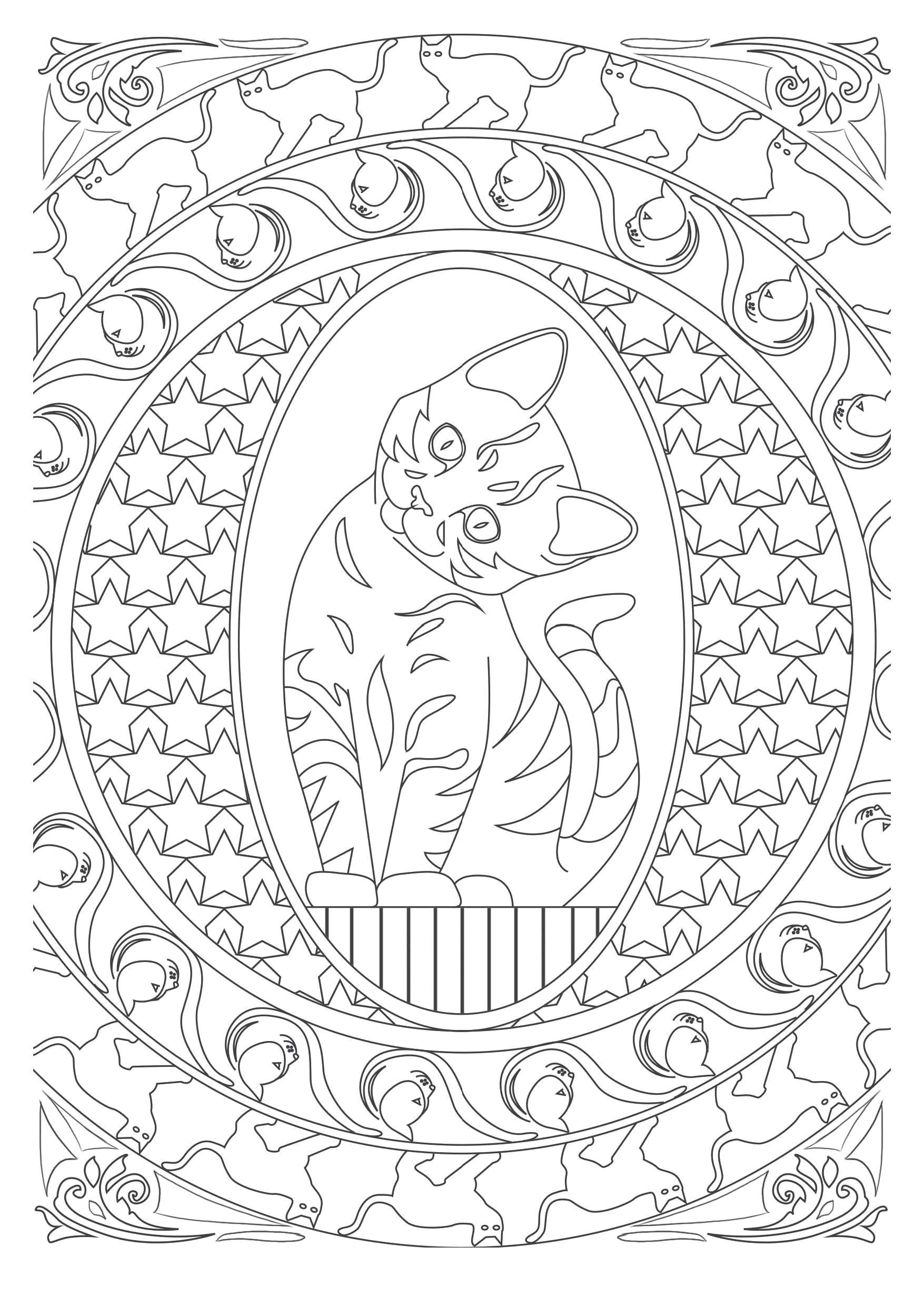 Coloriage Destressant Chat Art therapie Chat therapie 100 Coloriages Anti Stress French