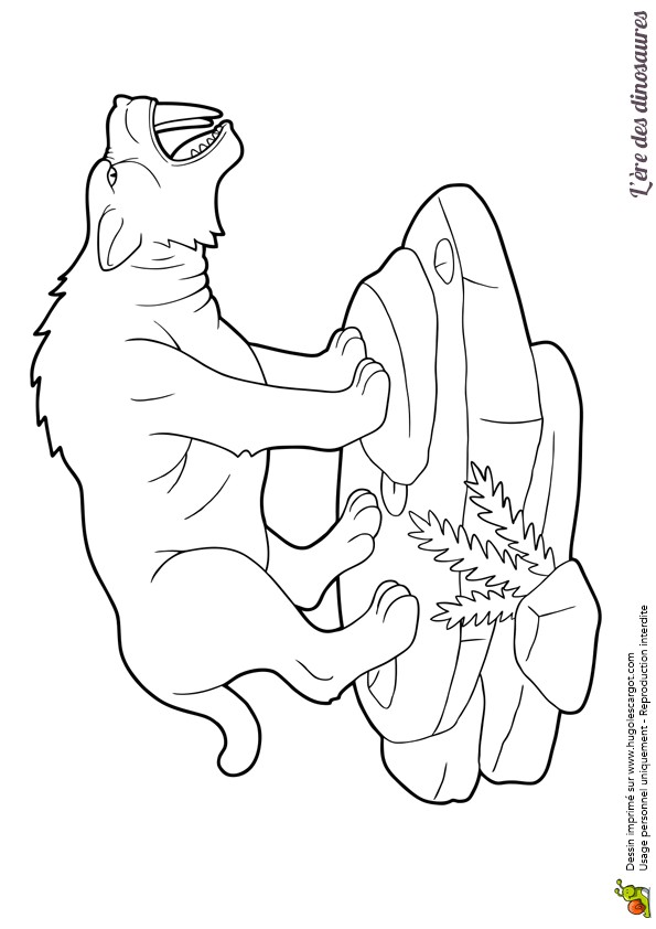 Coloriage Dinosaure Carnivore A Colorier Le Dangereux Dinosaure Tigre Aux Dents De Sabre