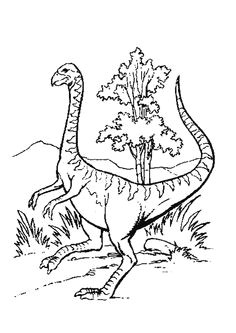 Coloriage Dinosaure Carnivore A Colorier Le Dangereux Dinosaure Tigre Aux Dents De Sabre Coloriage Dinosaure Carnivore A Colorier Le Dangereux Dinosaure Tigre Aux Dents De Sabre