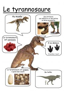 Coloriage Dinosaure Carnivore Fiche T Rex … Dinosaurios Pinterest