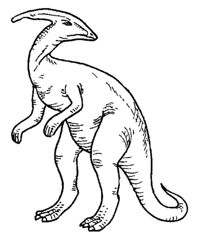 Coloriage Dinosaure Gratuit Dinosaur Coloring Pages Dinosaurs Pinterest