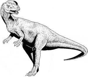Coloriage Dinosaure Tyrannosaure Coloriage Dinosaure Les Beaux Dessins De Animaux Imprimer Et