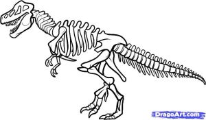 Coloriage Dinosaure Tyrannosaure How to Draw Dinosaurs