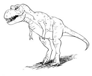 Coloriage Dinosaure Tyrannosaure How to Draw Dinosaurs