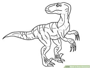 Coloriage Dinosaure Velociraptor Dinosaur Pencil Drawing at Getdrawings