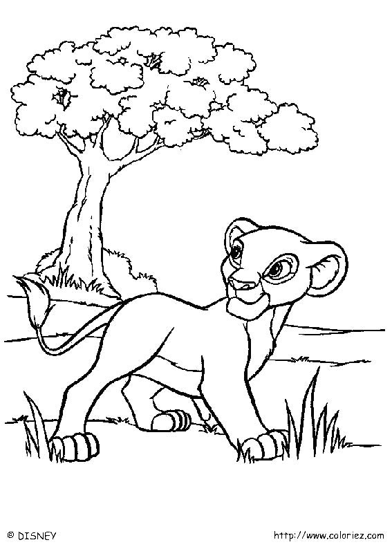 Coloriage Disney La Garde Du Roi Lion Index Of Images Coloriage Le Roi Lion