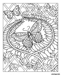 Coloriage Dur De Chat Beautiful Coloriage Mandala Chat Papillon Illustration Coloring