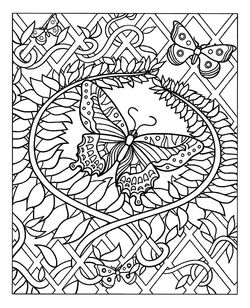 Coloriage Dur De Chat Coloriage Adulte A Imprimer Maison Design Apsip