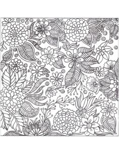 Coloriage Dure A Imprimer Jardin De Nuit Coloriage   Imprimer Gratuitement