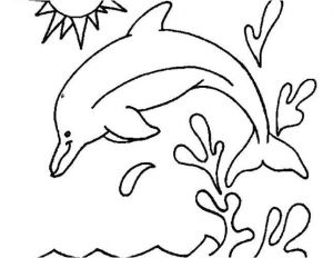 Coloriage En Ligne Sur 228 Best Coloriage Chat Pinterest Coloriage En Ligne