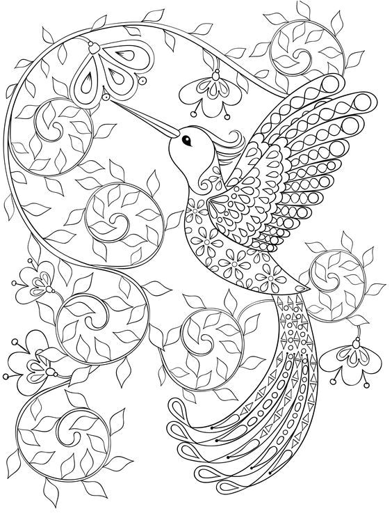 Coloriage Flamant Rose Gratuit Coloriage Zen