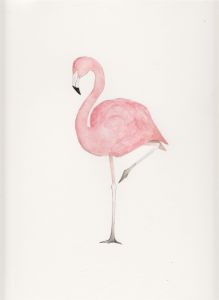 Coloriage Flamant Rose Imprimé Flamingo Inspiration Tatoo Pinterest