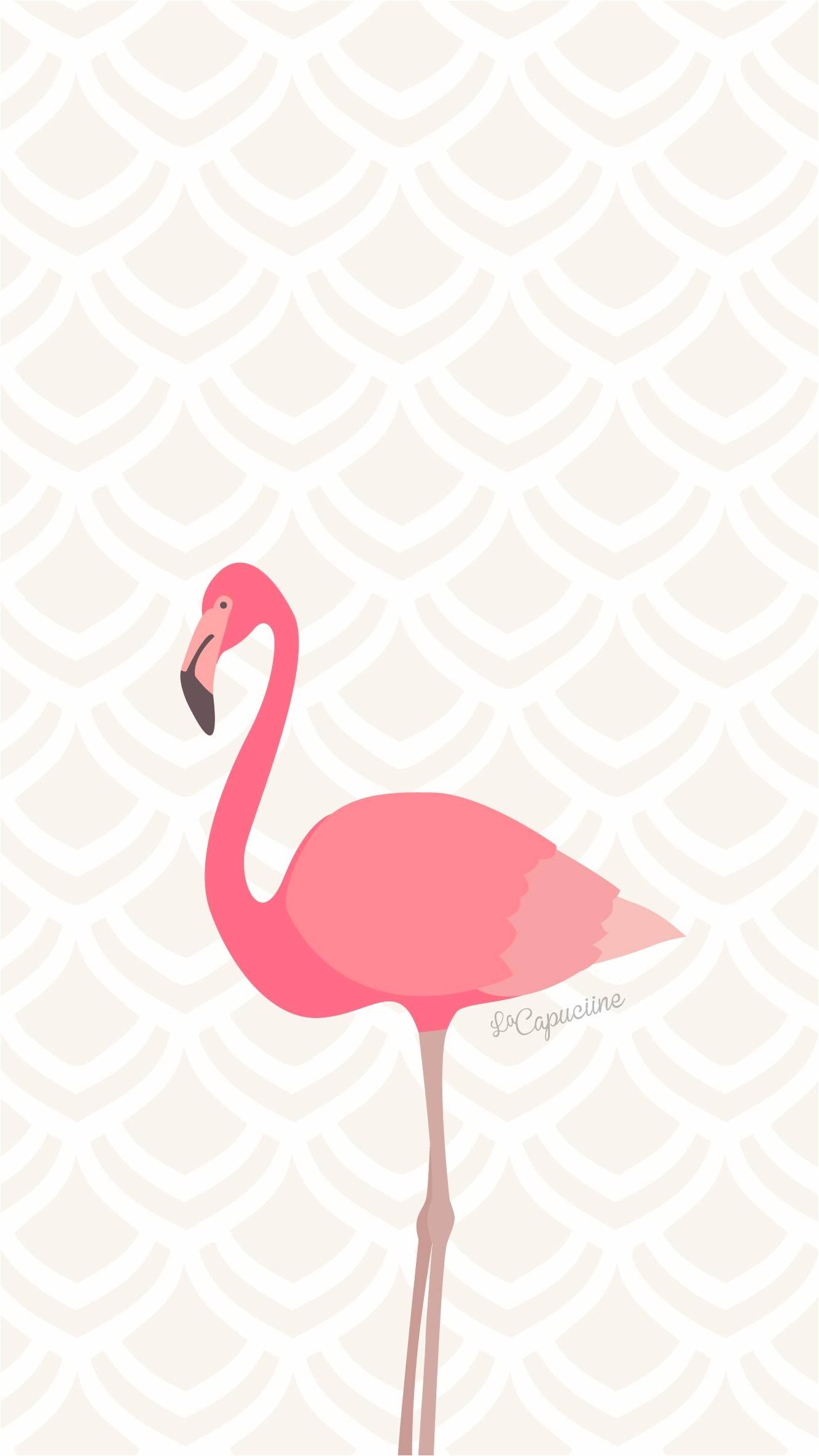 Coloriage Flamant Rose Imprimé Fond D écran Flamant Rose Pinterest