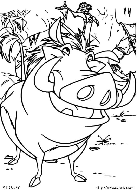 Coloriage La Garde Du Roi Lion Kion Index Of Images Coloriage Le Roi Lion